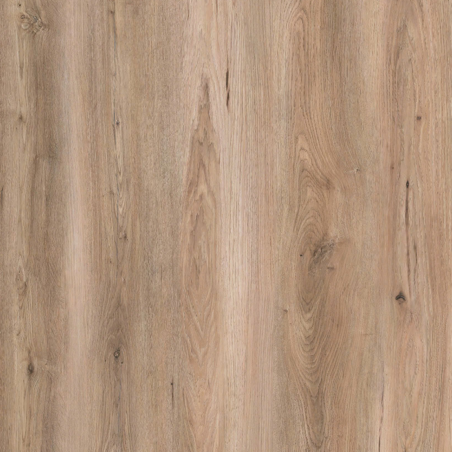 Berlina Oak