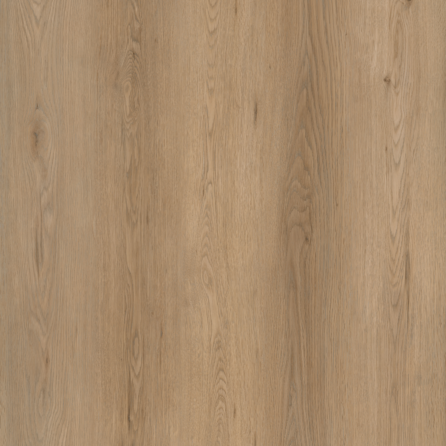 SPC OAK Dark