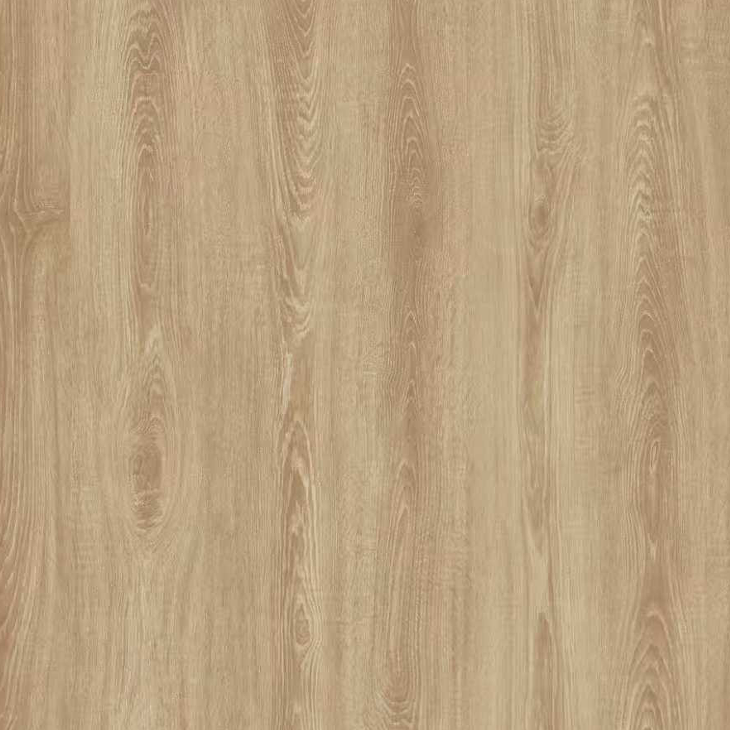 SPC Oak Honey