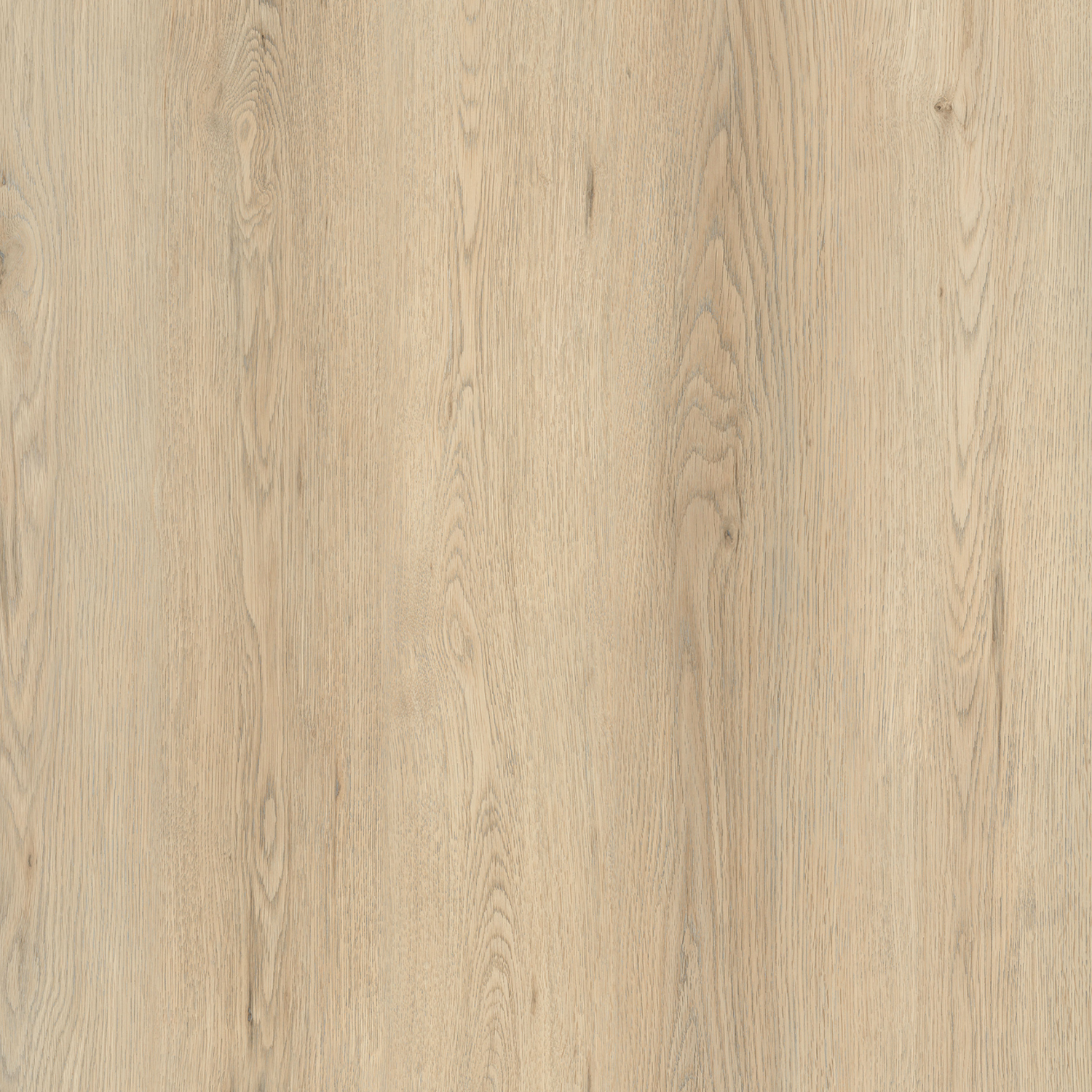 Oak